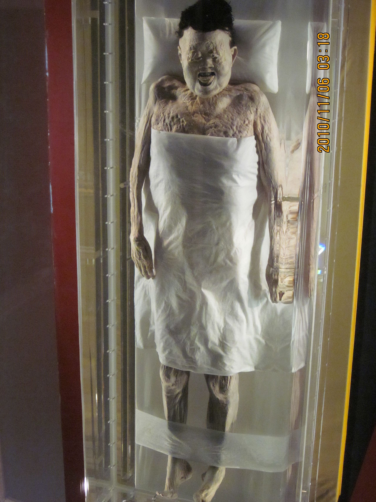 Xin Zhui mummy on display in glass case