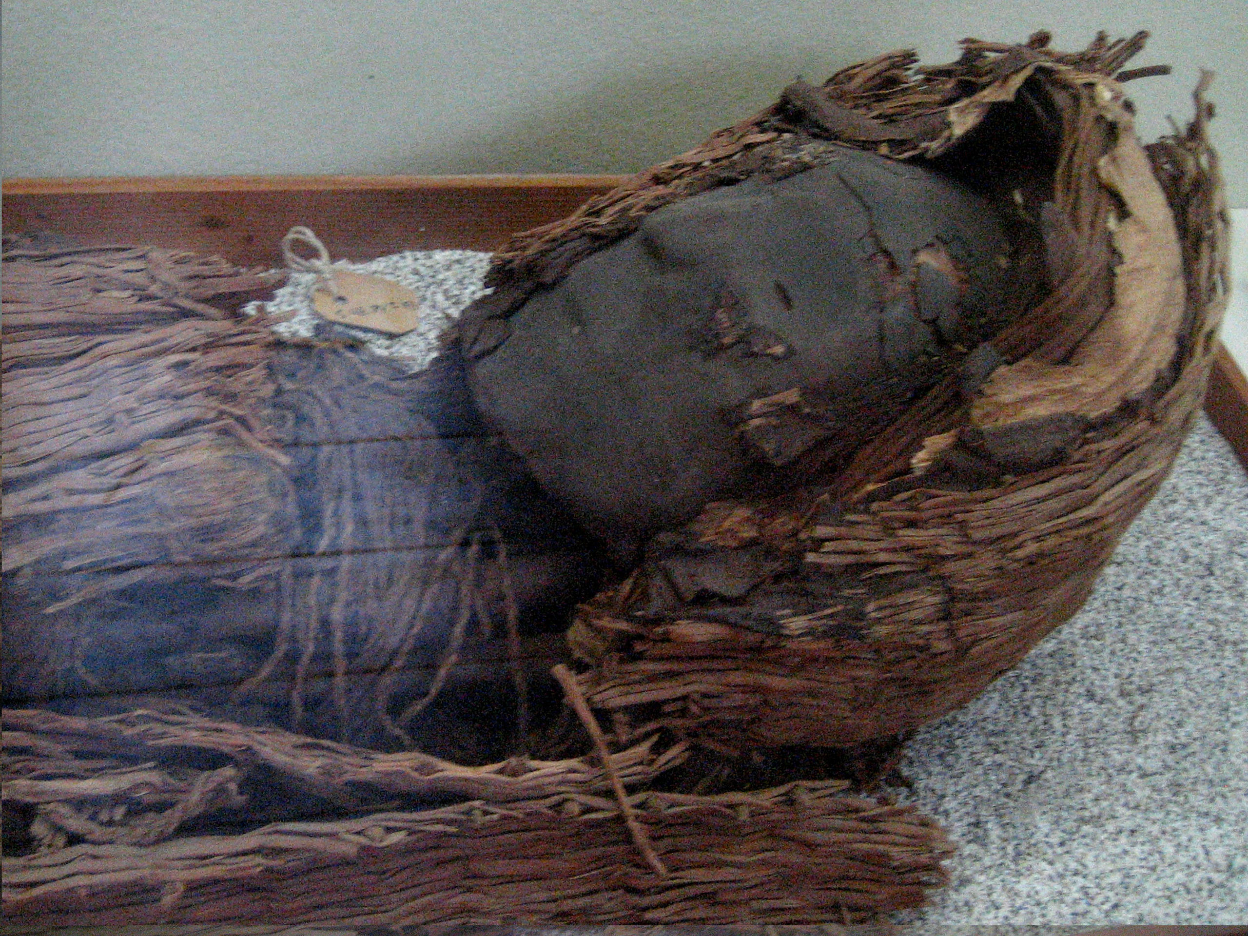 Head of a mummy from the Chinchorro culture, found in Northern Chile.